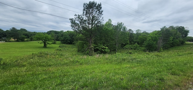 Listing photo 3 for 0 Tom Austin Hwy, Greenbrier TN 37073