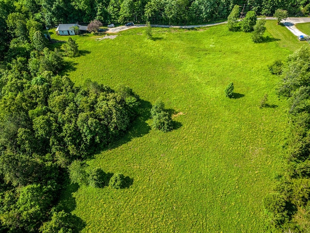 0 Mill Ave, Hohenwald TN, 38462 land for sale