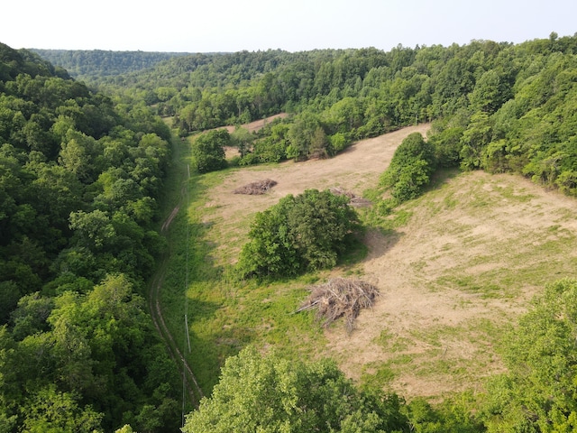 0 Cole Ridge Rd, Manchester TN, 37355 land for sale