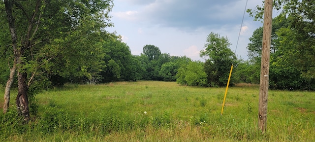 0 Bivens Hill Rd, Readyville TN, 37149 land for sale