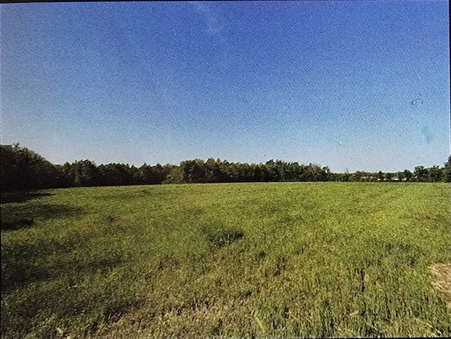 Listing photo 2 for 0 Hollow Springs Rd, Bradyville TN 37026