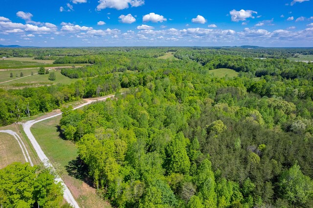 view of bird's eye view