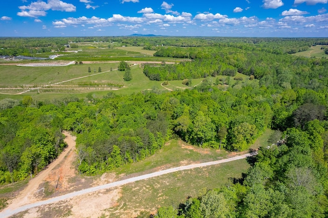 bird's eye view with a rural view