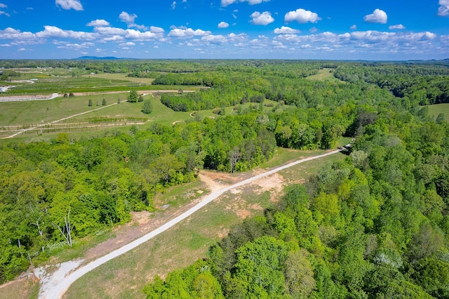 view of drone / aerial view