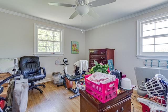 office space featuring crown molding, ceiling fan, and light hardwood / wood-style flooring