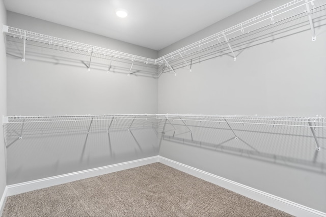 1312 Apple Blossom Rd, Clarksville, TN 37042 - photo 28