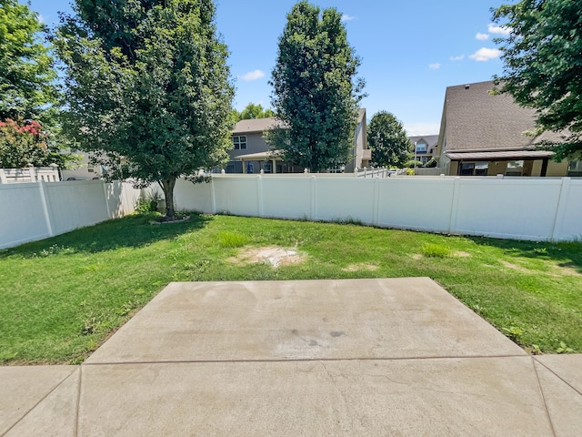 view of yard featuring a patio