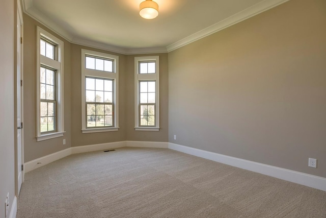 empty room with ornamental molding and light colored carpet