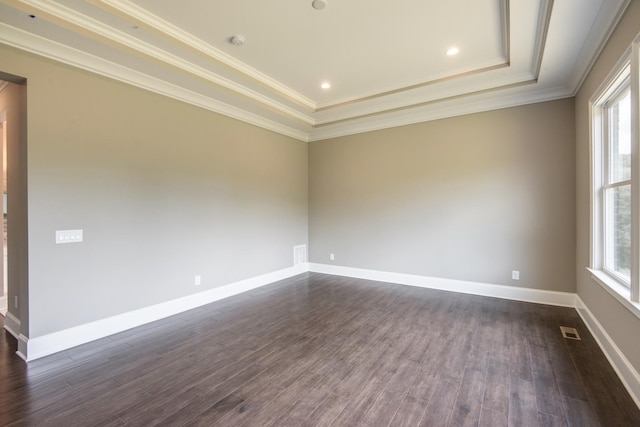 empty room with dark hardwood / wood-style floors, a raised ceiling, and a healthy amount of sunlight