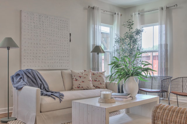 living room featuring hardwood / wood-style floors