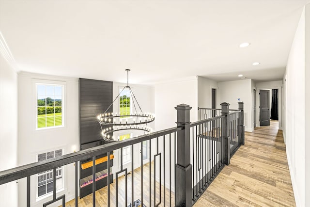 hallway featuring a chandelier, light wood-type flooring, and crown molding