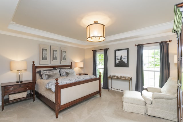 carpeted bedroom featuring crown molding and a tray ceiling