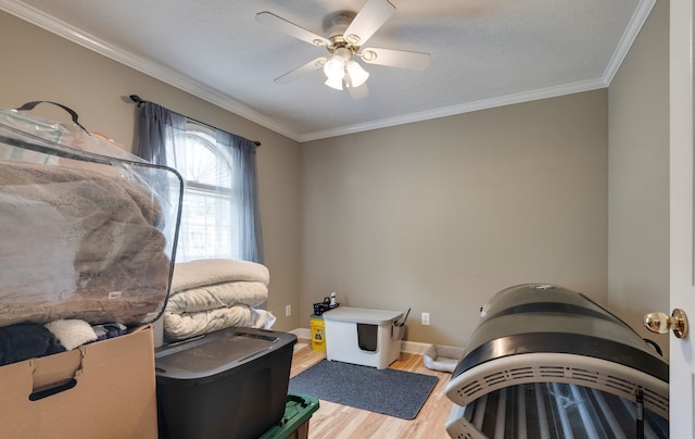 interior space with ceiling fan, ornamental molding, and light hardwood / wood-style floors