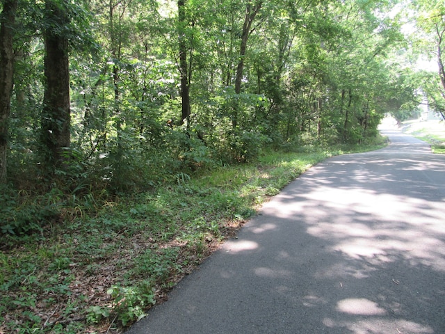 1 Patterson St, Springfield, TN 37172