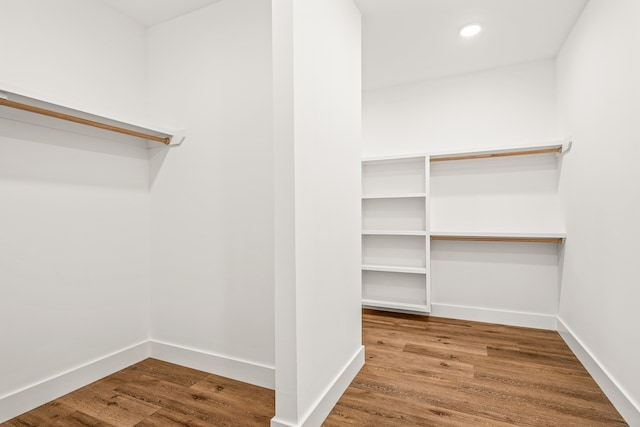 walk in closet featuring wood-type flooring