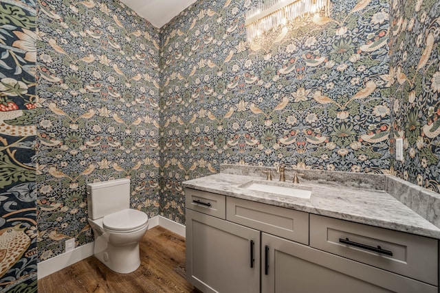 bathroom with toilet, hardwood / wood-style floors, and vanity