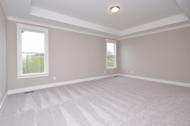 spare room with light carpet and a raised ceiling