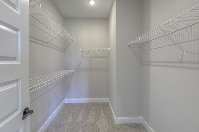 walk in closet featuring light colored carpet