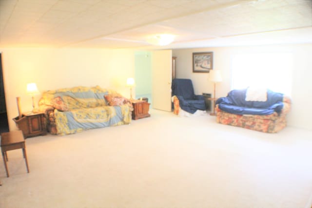 bedroom featuring carpet flooring