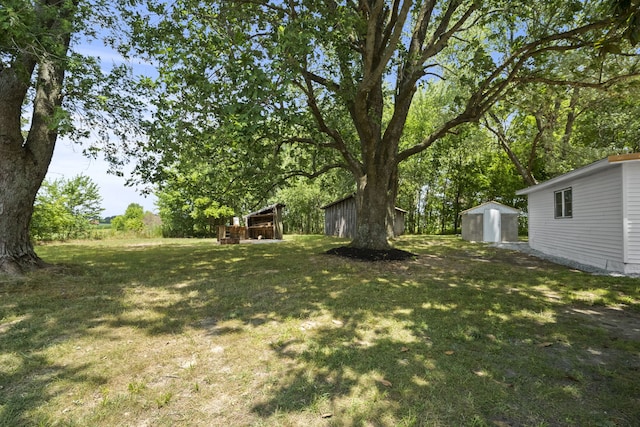 view of yard featuring a shed