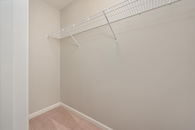 spacious closet featuring light carpet