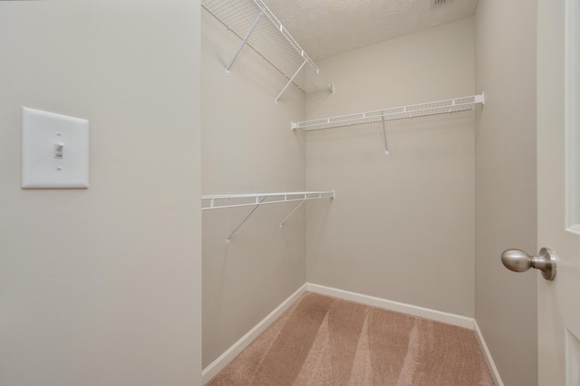 walk in closet featuring carpet floors