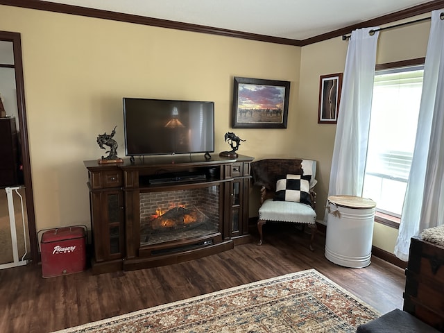 72 Golden Hollow Rd, Kelso, TN 37348 - living room featuring dark hardwood / wood-style flooring, crown molding, and plenty of natural light