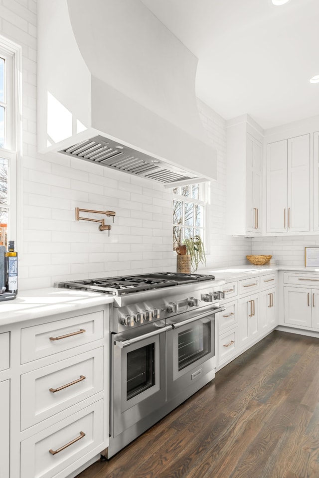 kitchen featuring dark hardwood / wood-style floors, backsplash, plenty of natural light, and double oven range