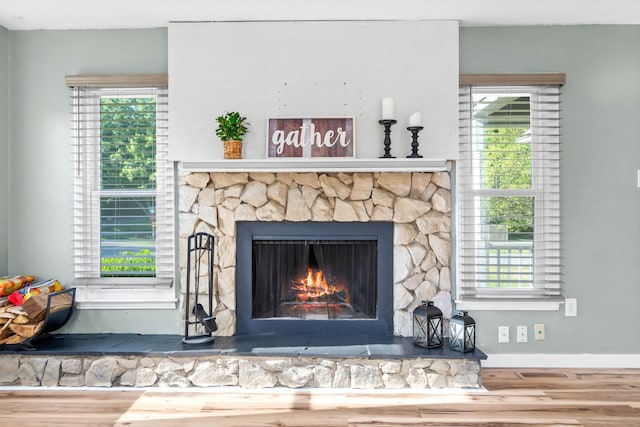 details featuring wood-type flooring and a fireplace