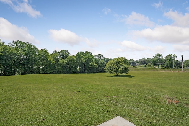 view of yard