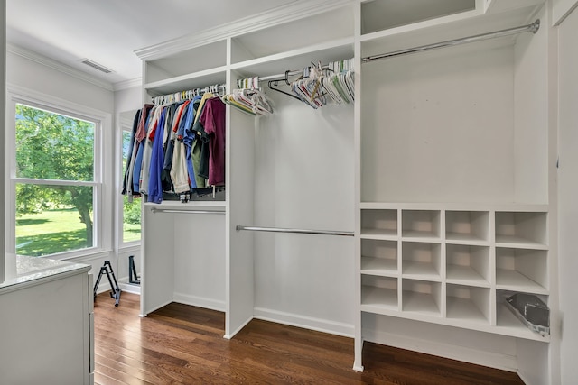 spacious closet featuring dark wood-type flooring