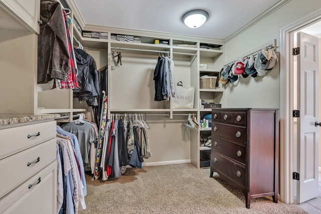 walk in closet featuring light colored carpet