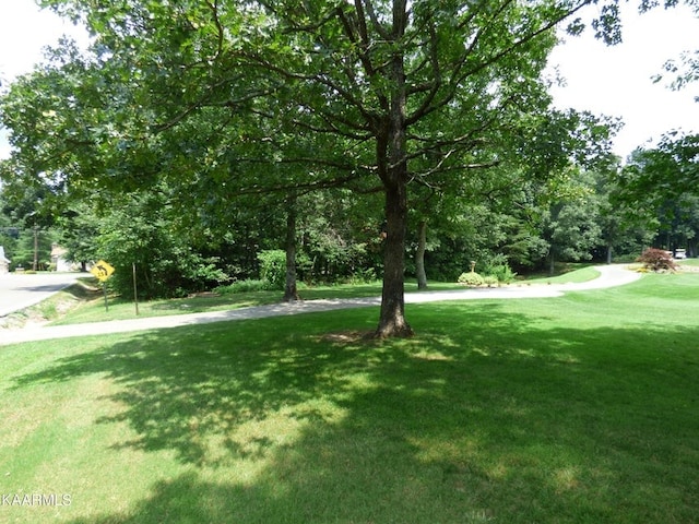 122 Fairway Dr, Crossville TN, 38558 land for sale