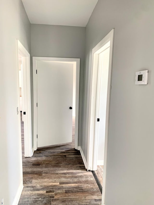 hallway with dark wood-type flooring