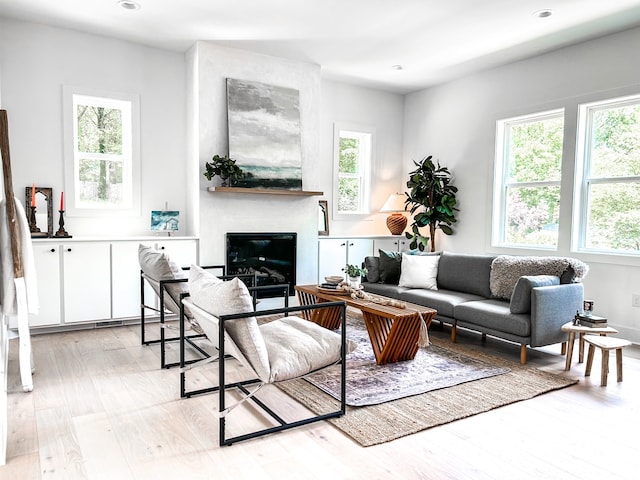 living room featuring a large fireplace and light wood-type flooring