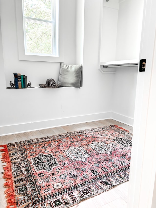 bathroom with wood-type flooring