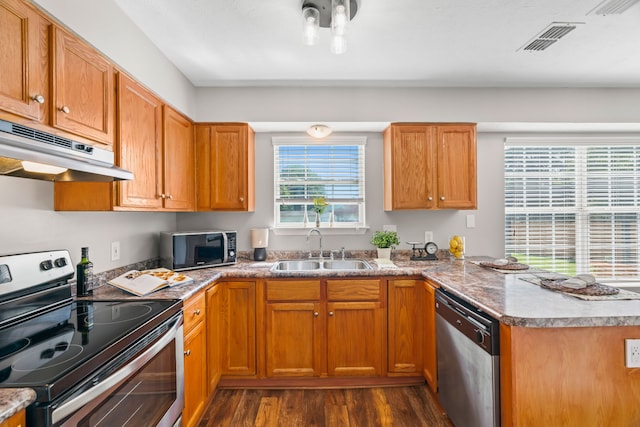 kitchen featuring appliances with stainless steel finishes, sink, dark wood-type flooring, and plenty of natural light