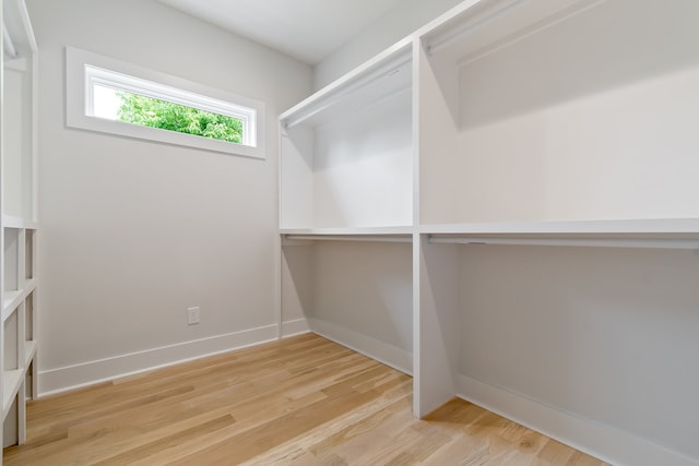 walk in closet featuring light wood-type flooring