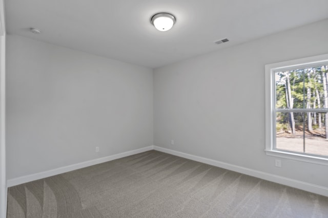 carpeted empty room with a healthy amount of sunlight