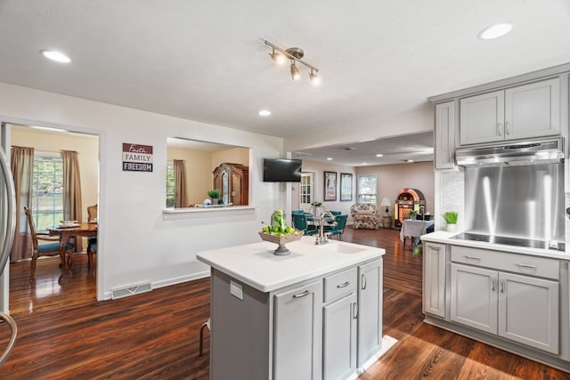 kitchen with dark hardwood / wood-style flooring, gray cabinetry, sink, and a center island