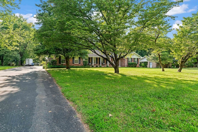 obstructed view of property featuring a front lawn