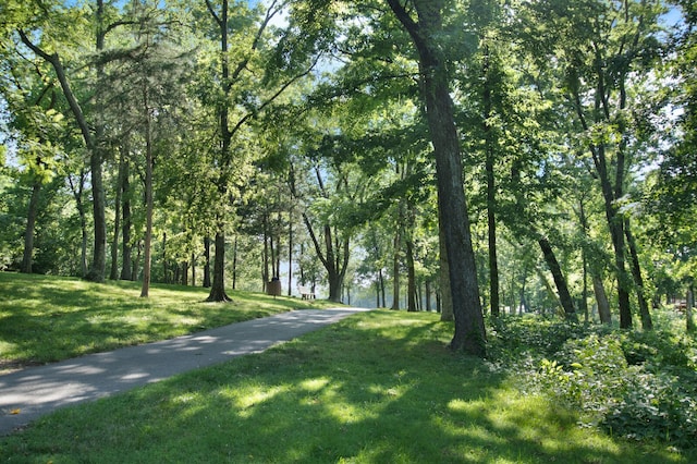 view of home's community featuring a lawn