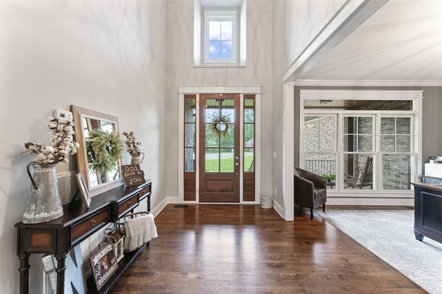 entryway with dark hardwood / wood-style flooring and a high ceiling