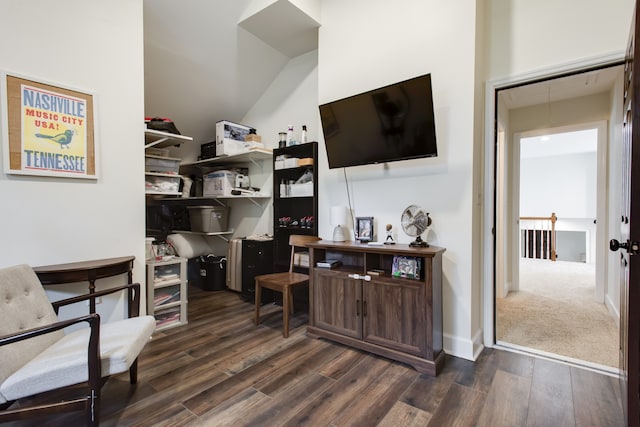 office featuring dark wood-type flooring