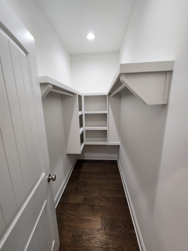 walk in closet with dark hardwood / wood-style floors