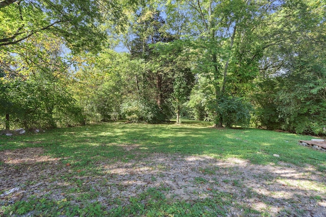 1253 Old Hickory Blvd, Nashville, TN 37207 - photo 27