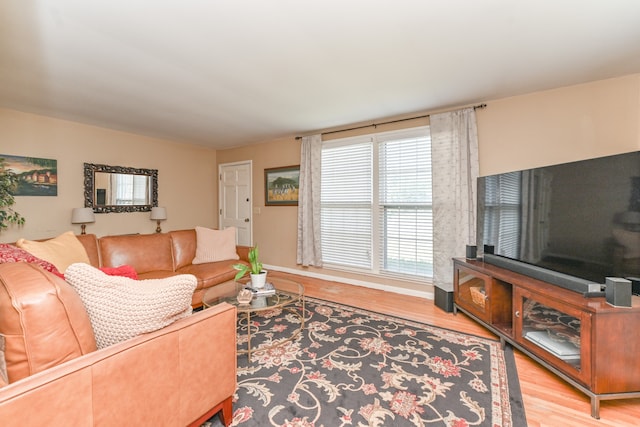 living room featuring light hardwood / wood-style floors