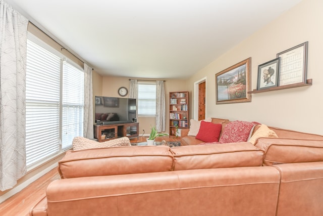 living room featuring light wood-type flooring and plenty of natural light