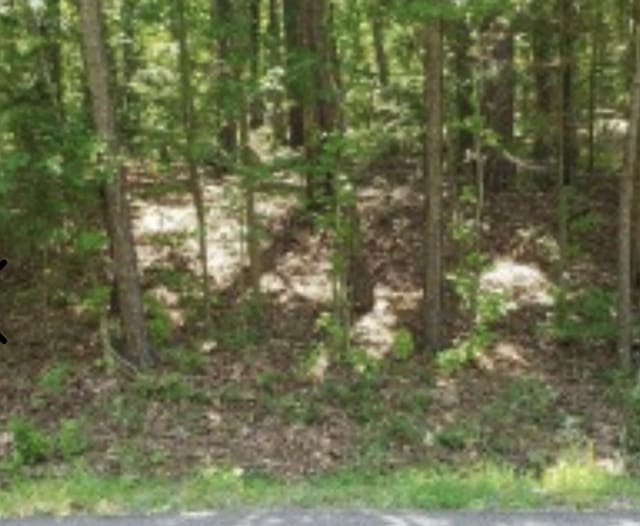 139 Edgewater Dr, Middleton TN, 38052 land for sale