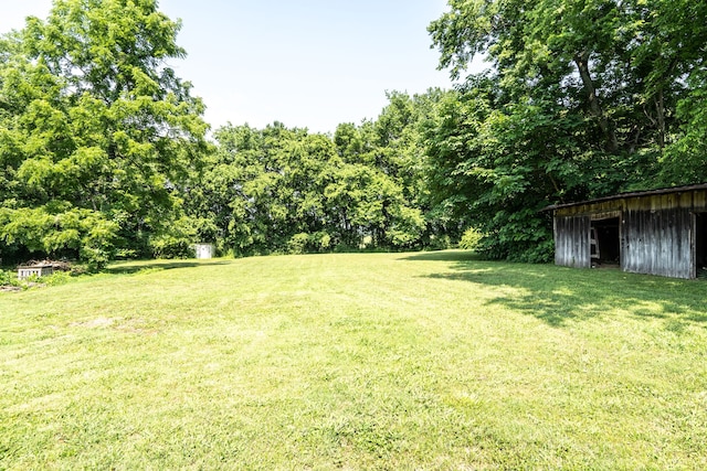 view of yard featuring an outdoor structure